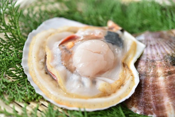 【盛岡発】酒と漆の國いわてプレゼンツ!釜石編 日帰り ~ 立ち呑み処いわて漆亭・女将と行く酒と漆器と美食の旅~2